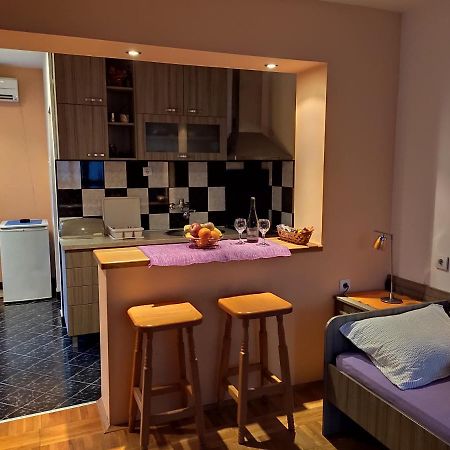 Apartman Ristic ニシュカ・バニャ エクステリア 写真