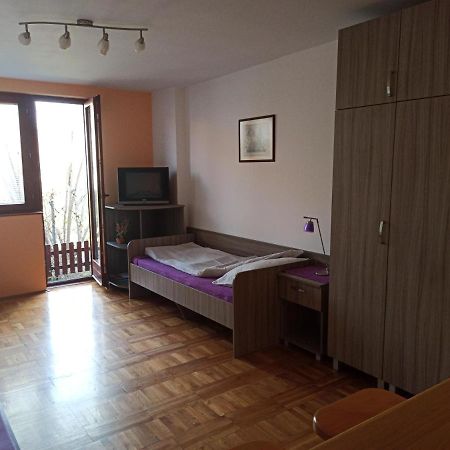 Apartman Ristic ニシュカ・バニャ エクステリア 写真