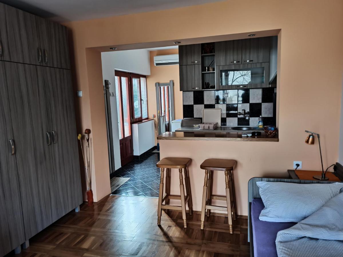 Apartman Ristic ニシュカ・バニャ エクステリア 写真