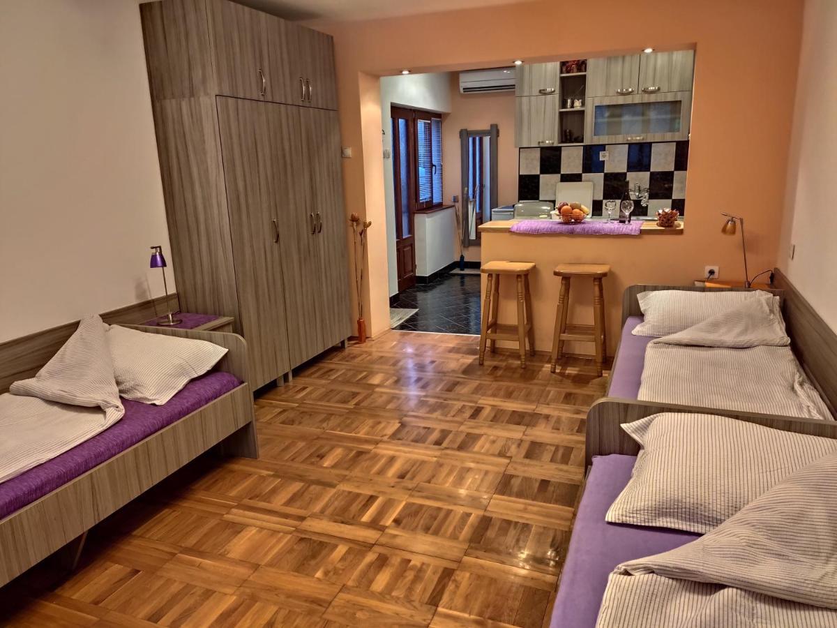 Apartman Ristic ニシュカ・バニャ エクステリア 写真