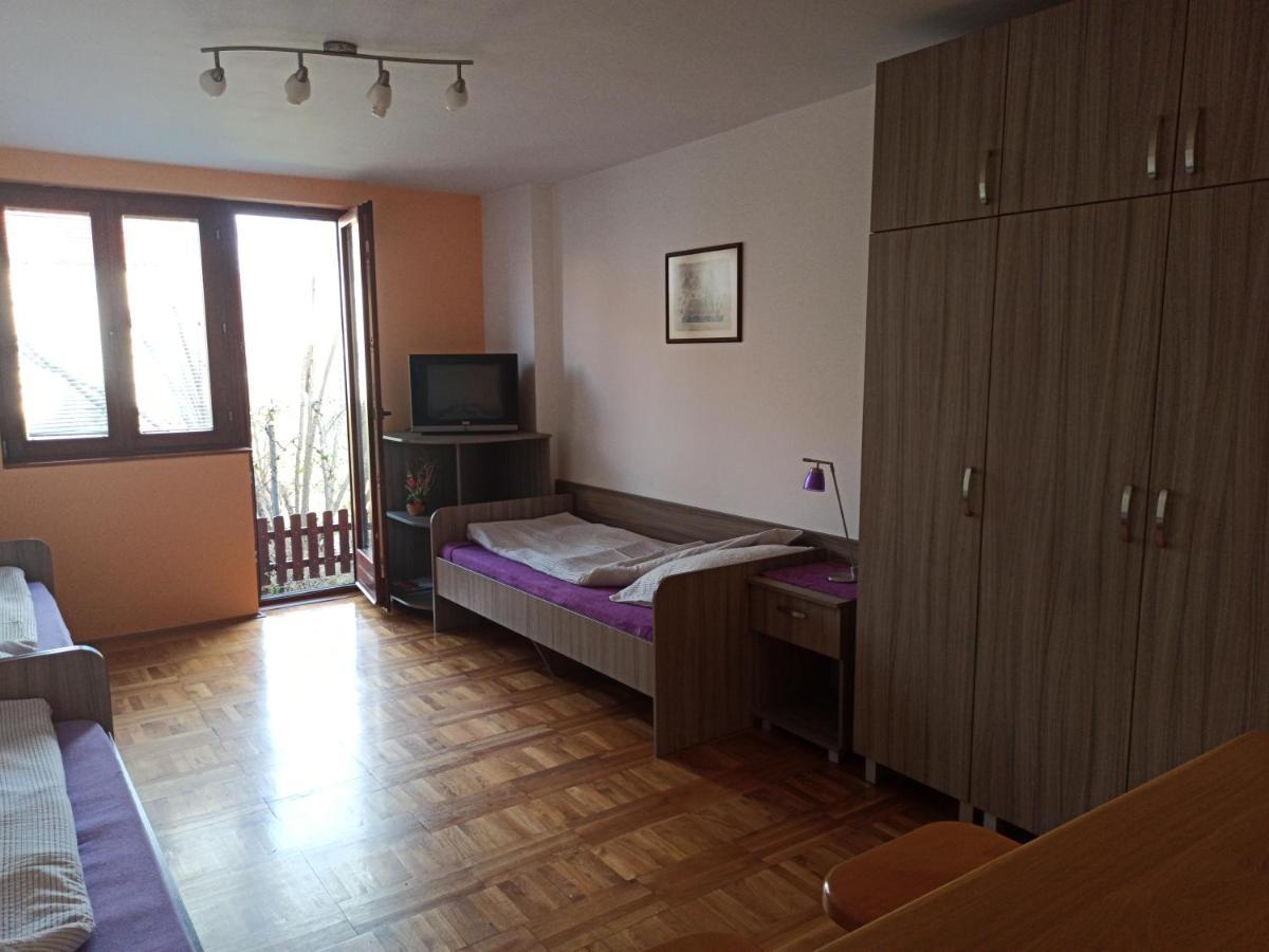 Apartman Ristic ニシュカ・バニャ エクステリア 写真